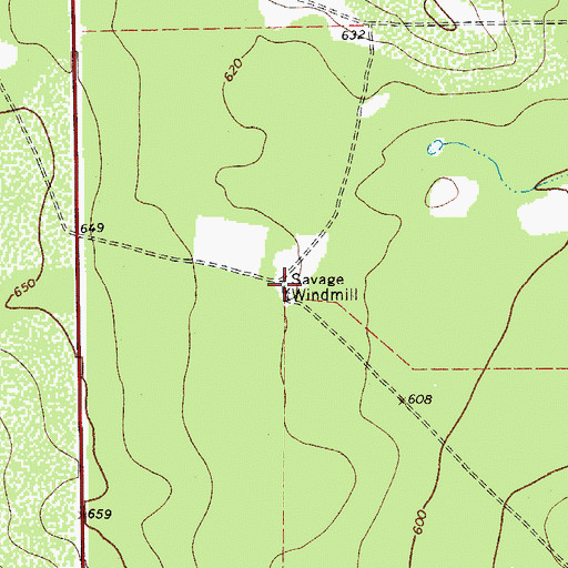 Topographic Map of Savage Windmill, TX