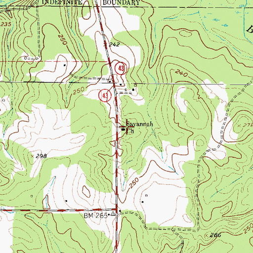 Topographic Map of Savannah Church, TX