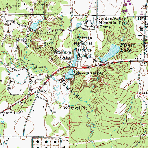 Topographic Map of Savoy Lake, TX