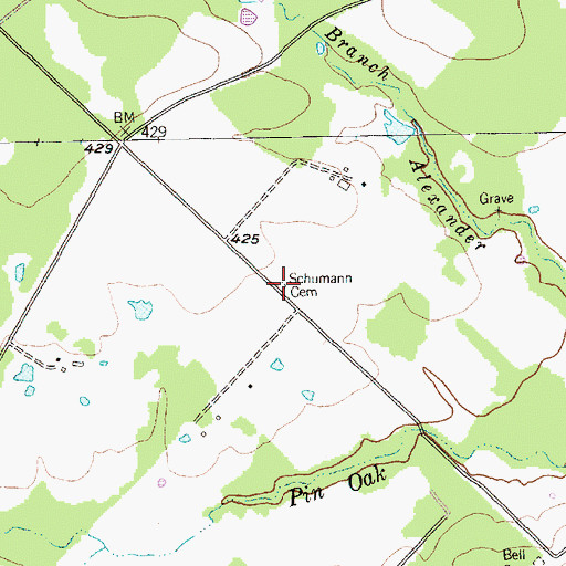 Topographic Map of Schumann Cemetery, TX