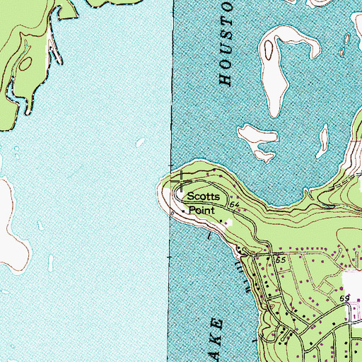 Topographic Map of Scotts Point, TX