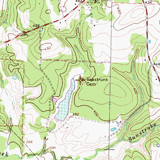 Topographic Map of Seastrunk Cemetery, TX