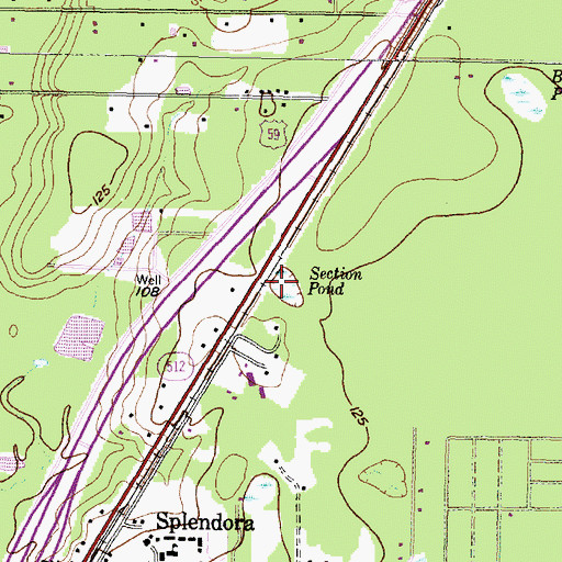 Topographic Map of Section Pond, TX