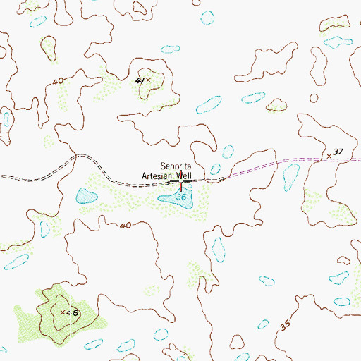 Topographic Map of Senorita Artesian Well, TX
