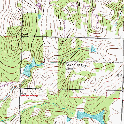 Topographic Map of Sevenleague Cemetery, TX