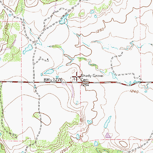 Topographic Map of Shady Grove Cemetery, TX