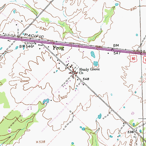 Topographic Map of Shady Grove Church, TX