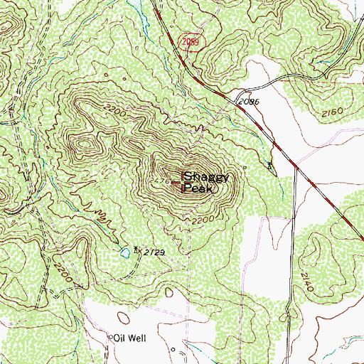 Topographic Map of Shaggy Peak, TX