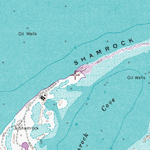 Topographic Map of Shamrock Island, TX