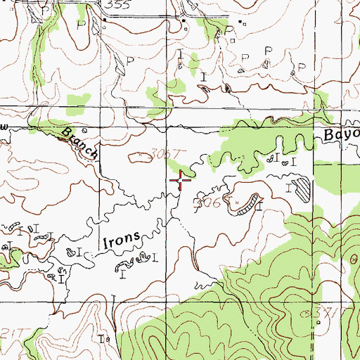 Topographic Map of Shaw Branch, TX