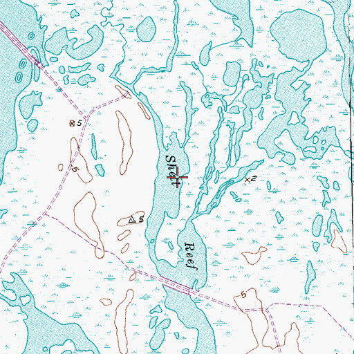 Topographic Map of Shell Reef Bayou, TX