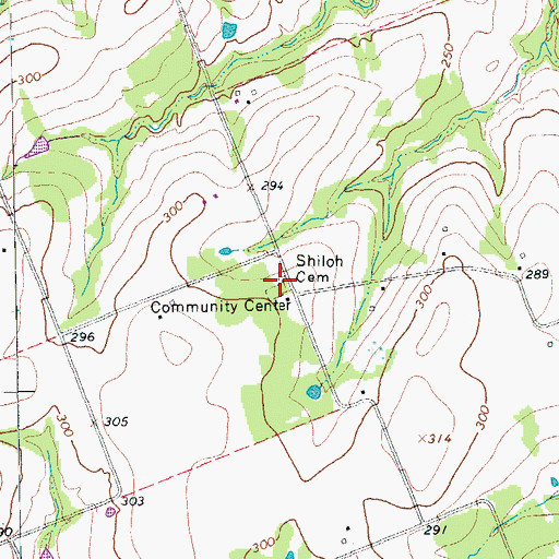 Topographic Map of Shiloh Cemetery, TX