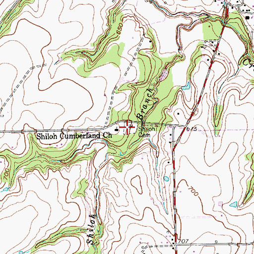 Topographic Map of Shiloh Cemetery, TX