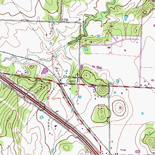 Topographic Map of Shiloh Cemetery, TX