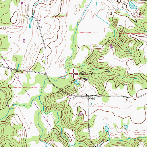 Topographic Map of Shiner Pond, TX
