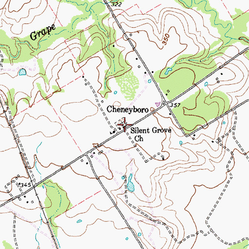 Topographic Map of Silent Grove Church, TX