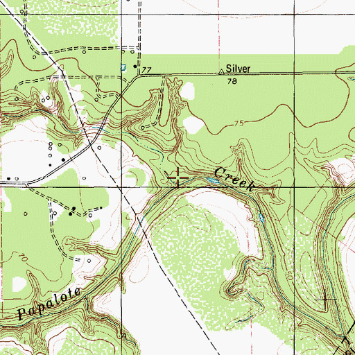 Topographic Map of Silver Creek, TX