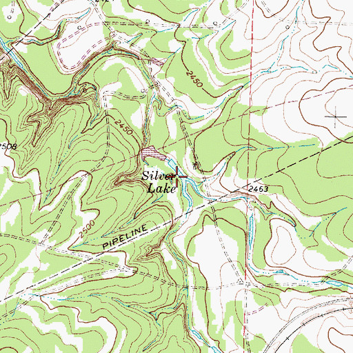 Topographic Map of Silver Lake, TX