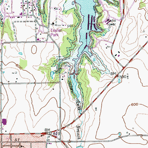 Topographic Map of Silver Lake Branch, TX