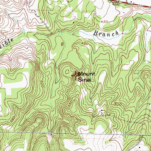 Topographic Map of Mount Sinai, TX
