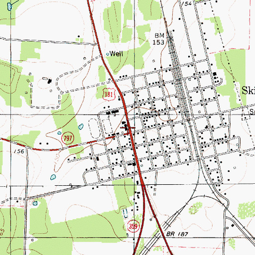 Topographic Map of Skidmore, TX