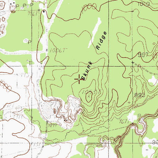 Topographic Map of Skunk Ridge, TX