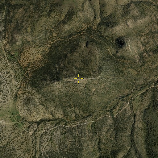Aerial/Satellite Image of Smith Peak, TX