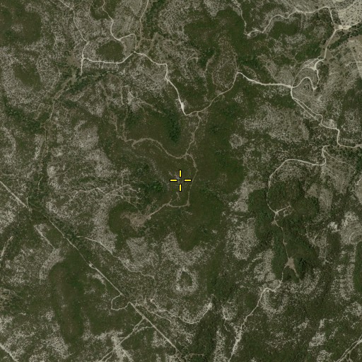 Aerial/Satellite Image of Mount Smith, TX