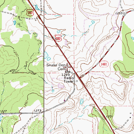 Topographic Map of Snake Den Cemetery, TX