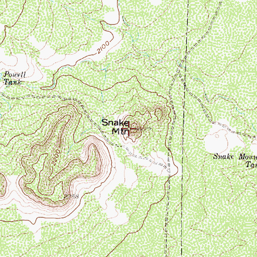 Topographic Map of Snake Mountain, TX