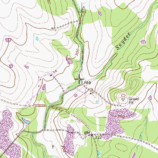 Topographic Map of Snyder Branch, TX
