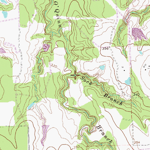 Topographic Map of Sock Branch, TX