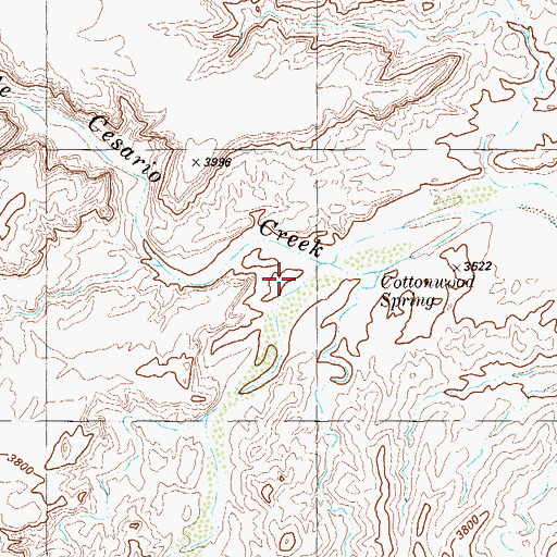 Topographic Map of South Fork Alamo de Cesanio Creek, TX