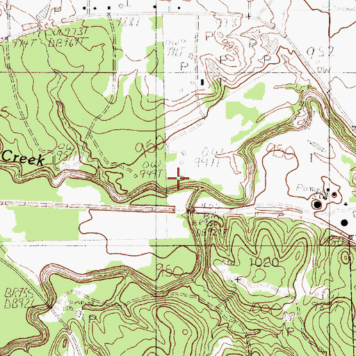 Topographic Map of South Fork Palo Pinto Creek, TX
