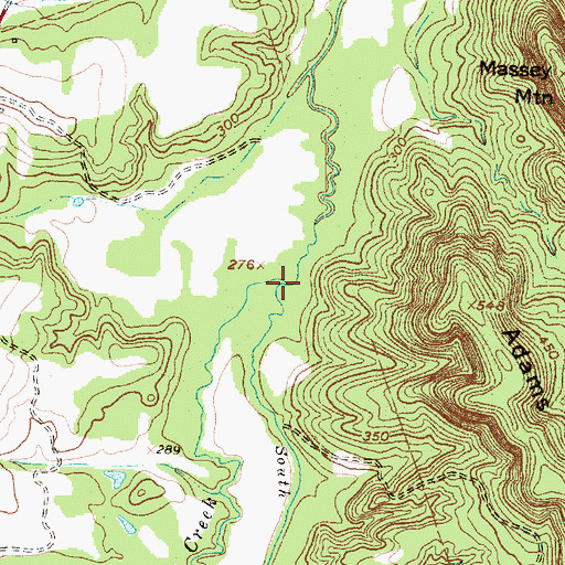 Topographic Map of South Greasy Creek, TX