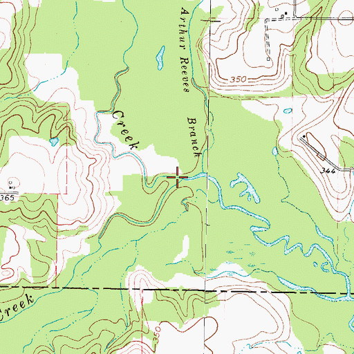 Topographic Map of South Lilly Creek, TX