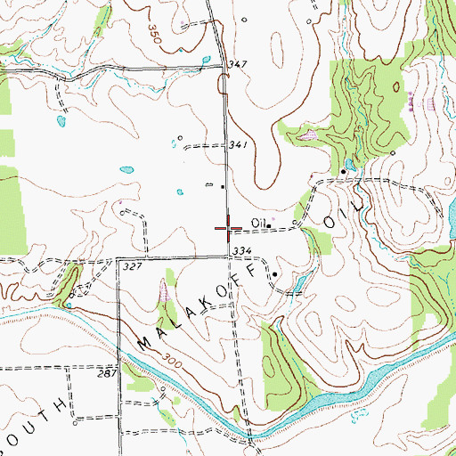 Topographic Map of South Malakoff Oil Field, TX