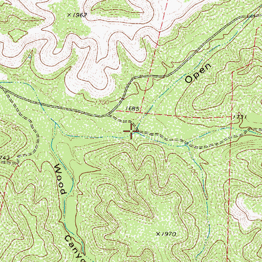 Topographic Map of South Open Hollow, TX
