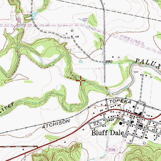 Topographic Map of South Paluxy River, TX