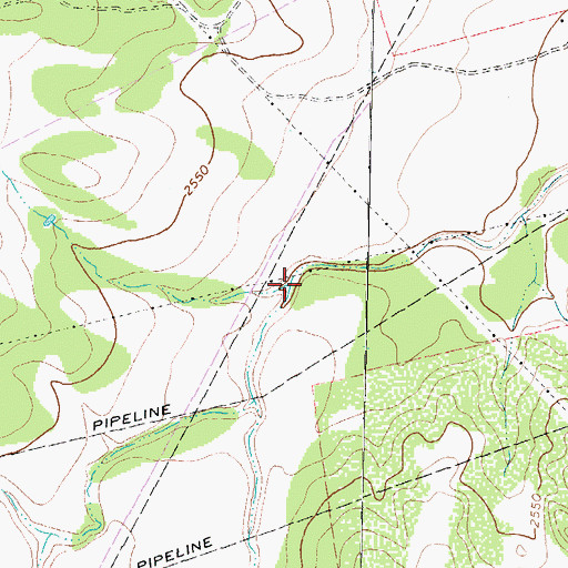 Topographic Map of South Prong Moss Creek, TX