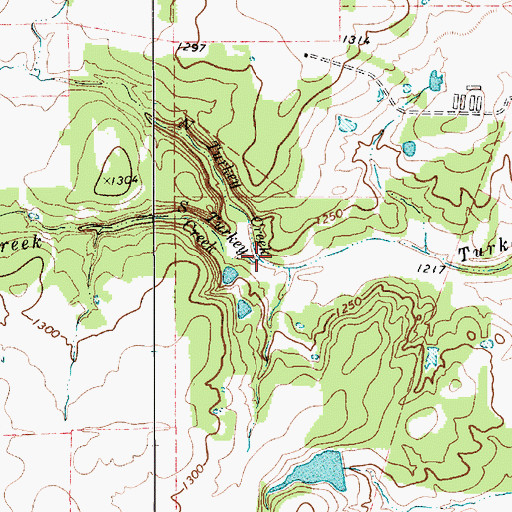 Topographic Map of South Turkey Creek, TX