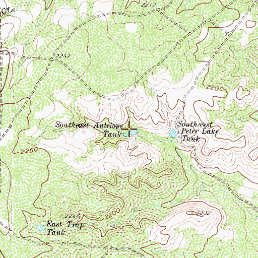 Topographic Map of Southeast Antelope Tank, TX
