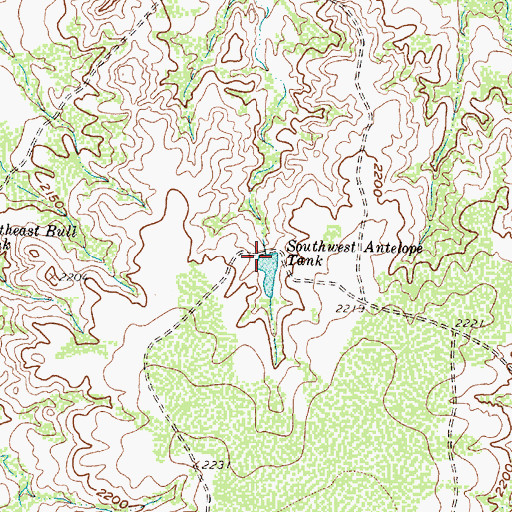 Topographic Map of Southwest Antelope Tank, TX