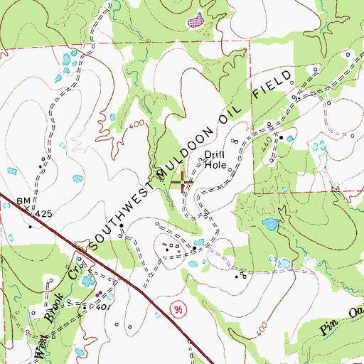 Topographic Map of Southwest Muldoon Oil Field, TX