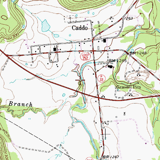 Topographic Map of Sow Branch, TX