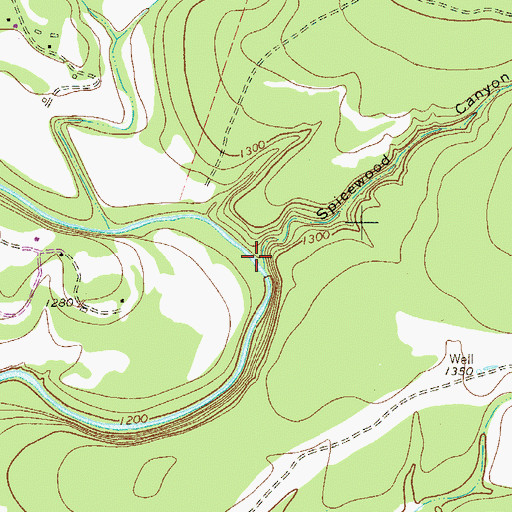 Topographic Map of Spicewood Canyon, TX