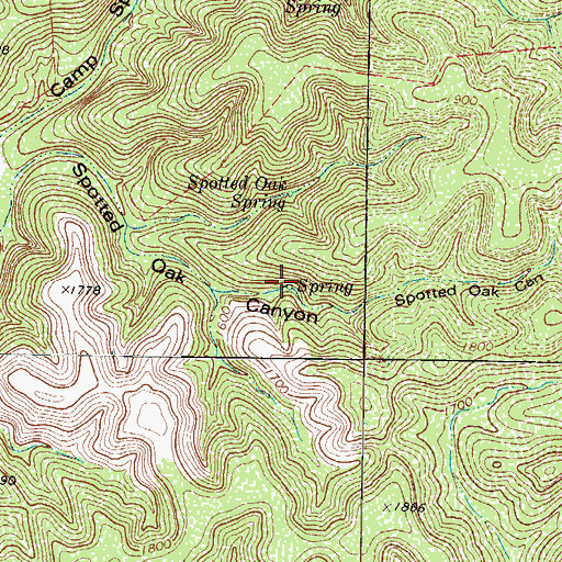 Topographic Map of Spotted Oak Spring, TX