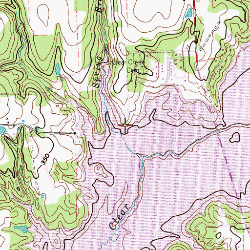 Topographic Map of Spring Branch, TX