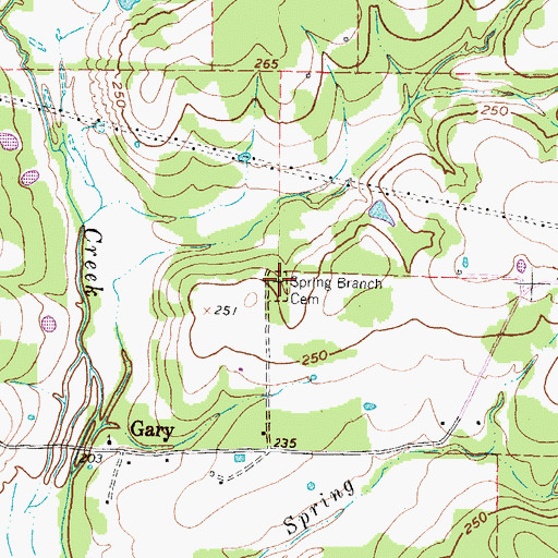 Topographic Map of Spring Branch Cemetery, TX
