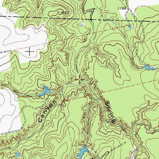 Topographic Map of Spring Canyon, TX
